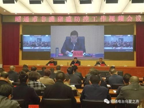 昭通最新爆料,揭秘神秘事件背后的真相